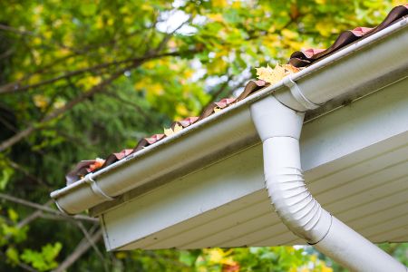 The Importance of Regular Gutter Cleaning for Your Home Thumbnail