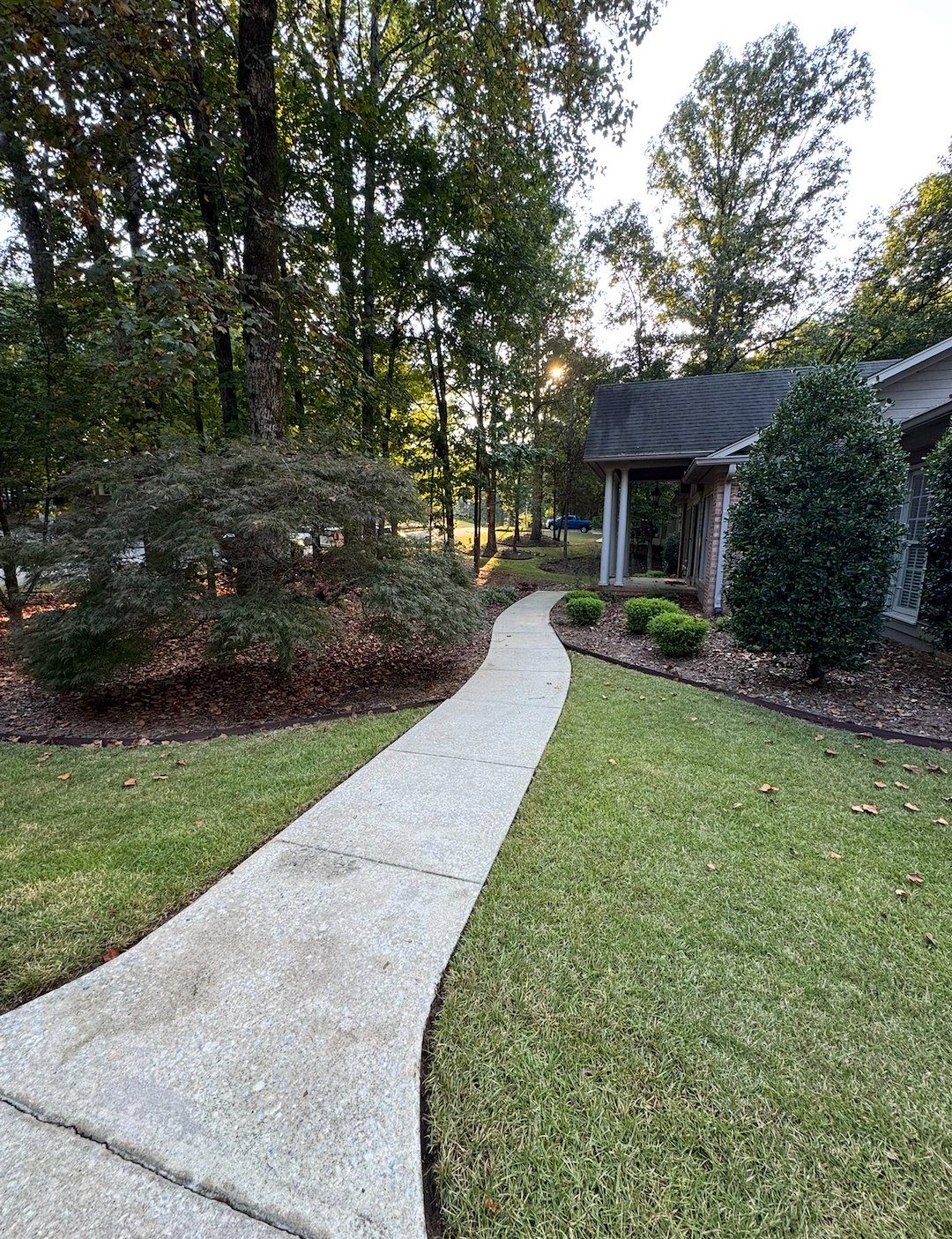 Professional Walkway Cleaning in Opelika, Alabama Thumbnail